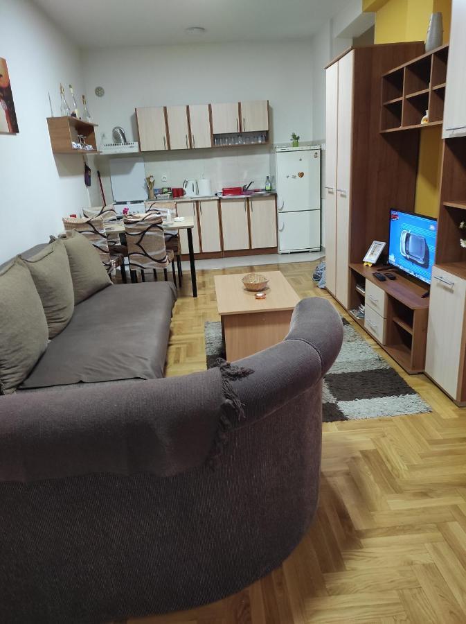 Apartman Marina Sa Garazom Novi Sad Exterior photo