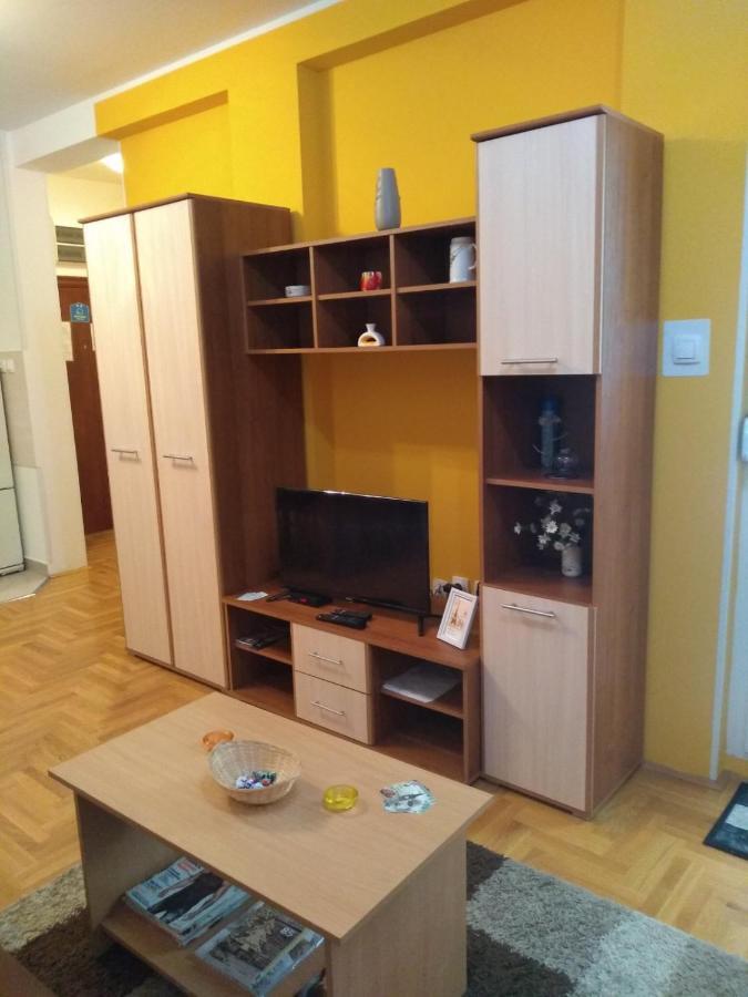 Apartman Marina Sa Garazom Novi Sad Exterior photo